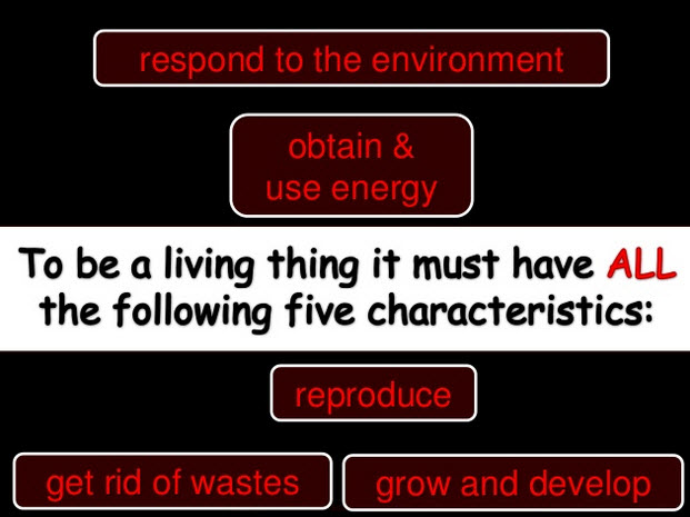 Non living things that use energy and respond to change Living Or Non Living Team 9